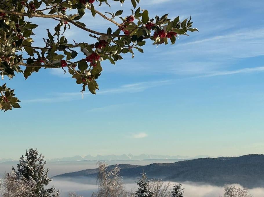 Apartmán Un Coin De Montagne Linthal Exteriér fotografie