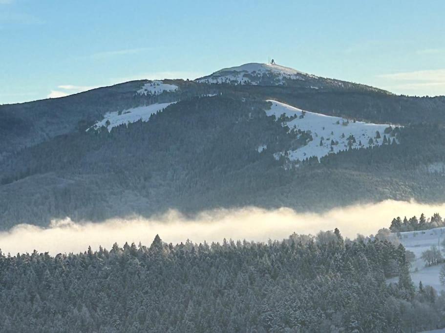 Apartmán Un Coin De Montagne Linthal Exteriér fotografie