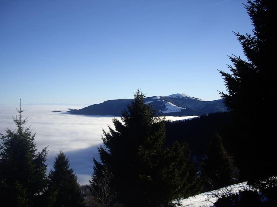Apartmán Un Coin De Montagne Linthal Exteriér fotografie