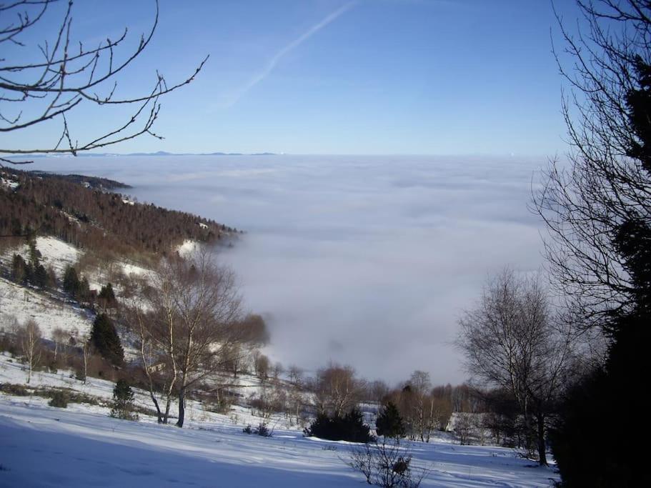 Apartmán Un Coin De Montagne Linthal Exteriér fotografie