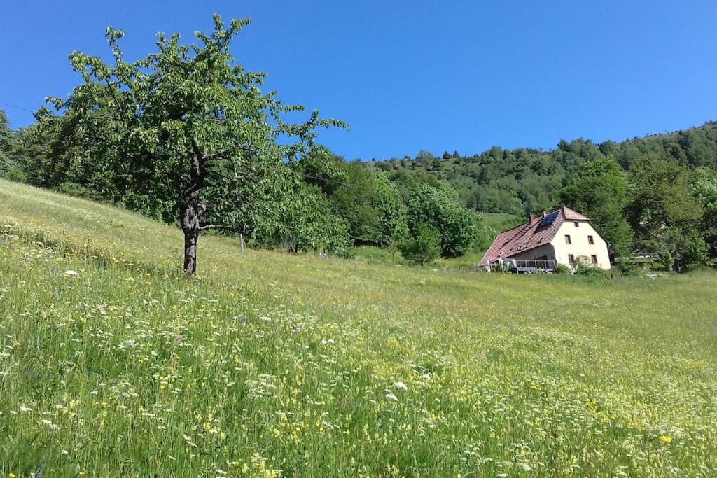 Apartmán Un Coin De Montagne Linthal Exteriér fotografie